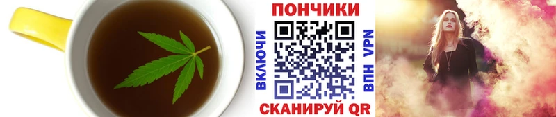 МЕГА онион  Каргополь  Cannafood марихуана 