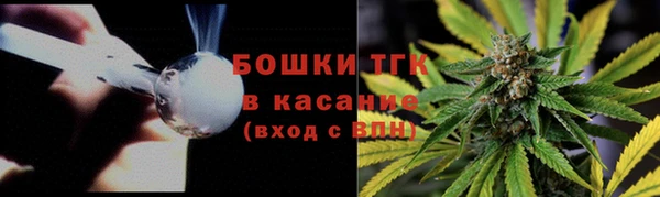 МДПВ Медногорск